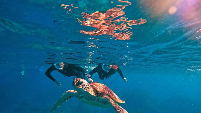 Snorkeler swimming near a green sea turtle over coral on an ishigaki snorkeling tour in Okinawa, Japan