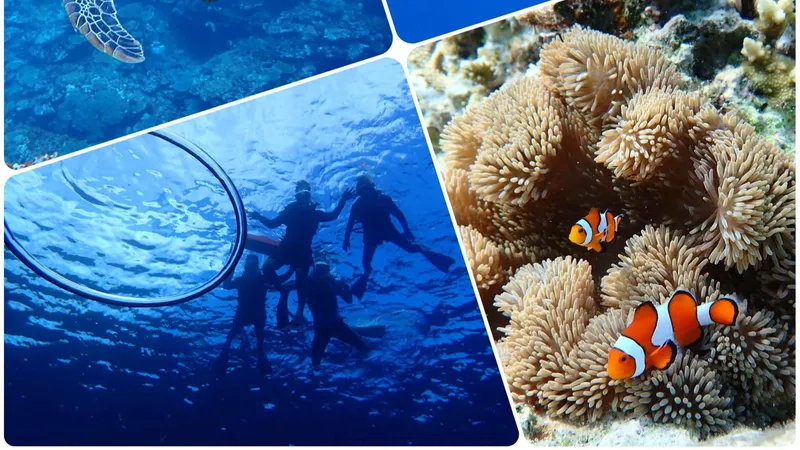 Beginner snorkeler beside a sea turtle in shallow clear water on an ishigaki snorkeling tour in Okinawa, Japan